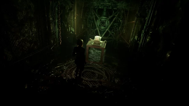 Tormented Souls dupl (PS5)