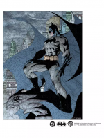 Puzzle Batman - Guardian of Gotham (fa)