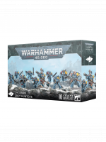 W40k: Space Wolves - Grey Hunters (10 figura)
