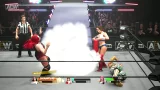 AEW: Fight Forever (SWITCH)