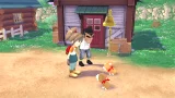 STORY OF SEASONS: A Wonderful Life (SWITCH)