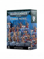 W40k: Combat Patrol - Adeptus Custodes (14 figura)