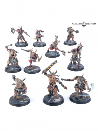 W40k: Kill Team - Fellgor Ravagers