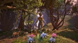 The Elder Scrolls IV: Oblivion Remastered (XBOX)