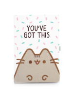 Jegyzetfüzet Pusheen - You've Got This