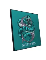 Obraz Harry Potter - Slytherin Crystal Clear Art Pictures (Nemesis Now)