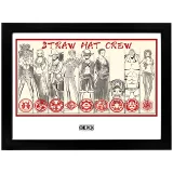 Keretezett poszter One Piece - Straw Hat Crew