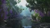 recenze-diagnostika